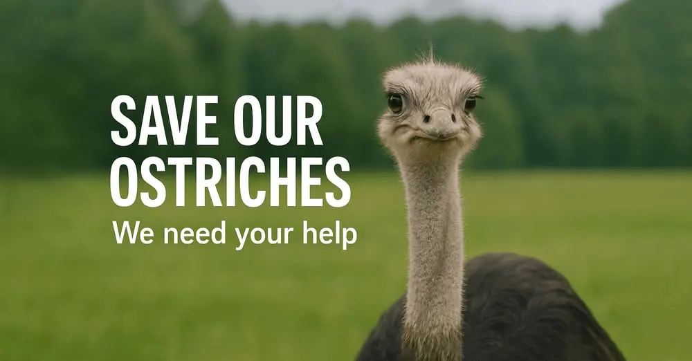 SaveOurOstriches.com