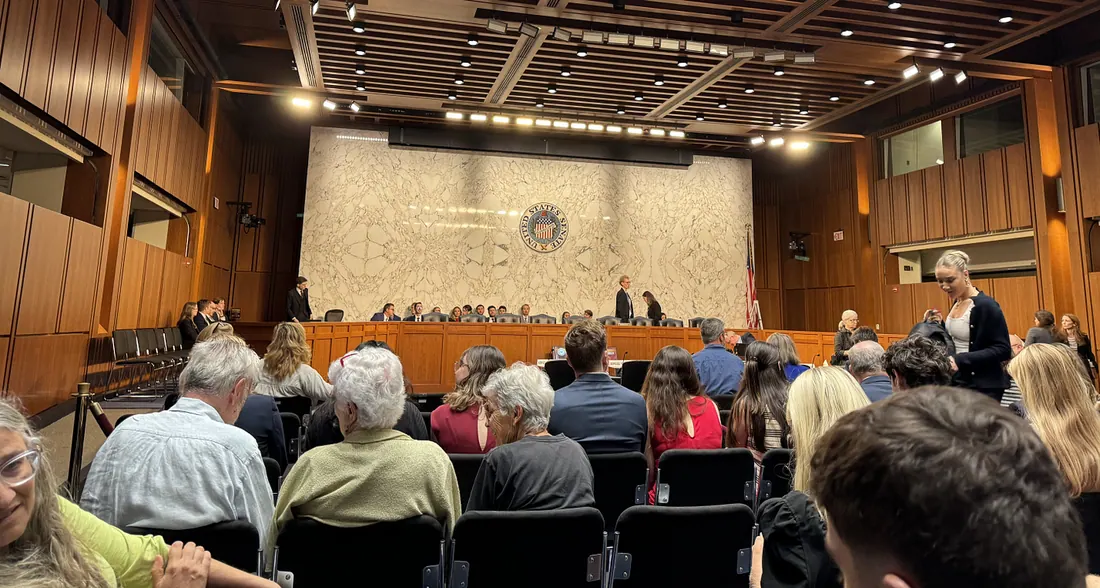 Today’s Senate Hearing